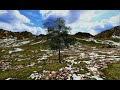 Experiencing Birch Simulator for the First Time