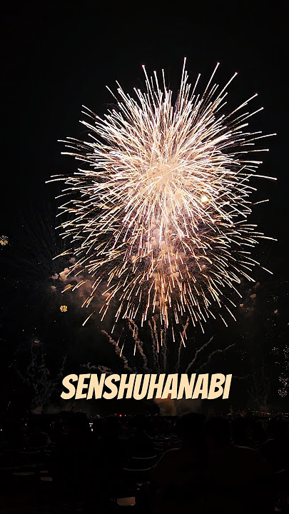 Senshuhanabi 🎆 #osaka #summer #festival #hanabi #fireworks
