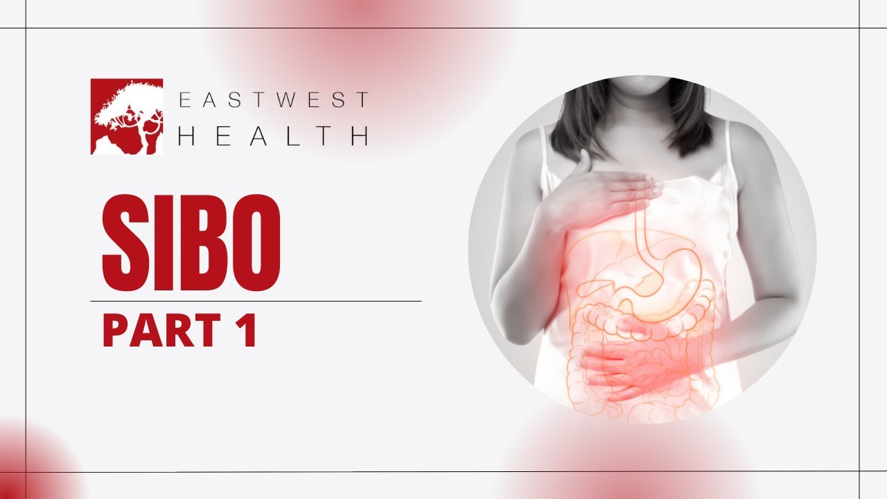 What is SIBO? (part 1) - YouTube