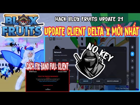 Cách Hack Blox Fruits Trên Điện Thoại Update Client Delta X Mới Nhất No Key Cách Fix Band Arceus X