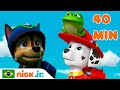 Patrulha Canina | 40 minutos dos melhores resgates da Patrulha Canina! | Nick Jr. em Português