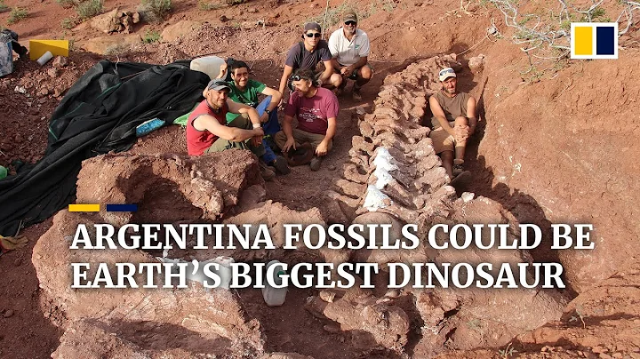 Dinosaur fossils found in Argentina could be from largest creature to have ever walked the Earth - DayDayNews