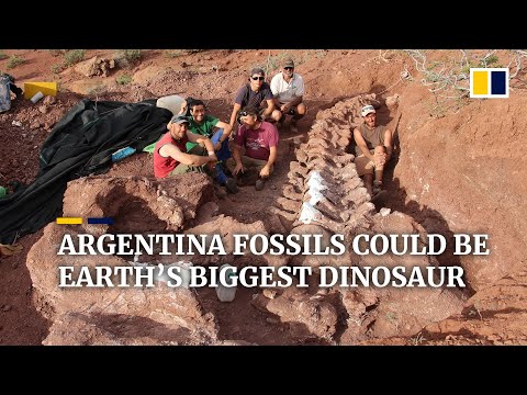 וִידֵאוֹ: דינוזאורים שהתגלו במוסקבה