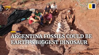 Dinosaur fossils found in Argentina could be from largest creature to have ever walked the Earth