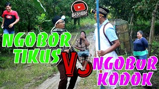 NGOBOR KODOK VS NGOBOR TIKUS (film pendek Indramayu juntikedokan)