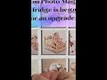 First kid gets a ton of photos. Second kid gets half, third gets none.
