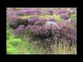 MUJI BGM17 Ireland3 Celtic Music.Private work .mov