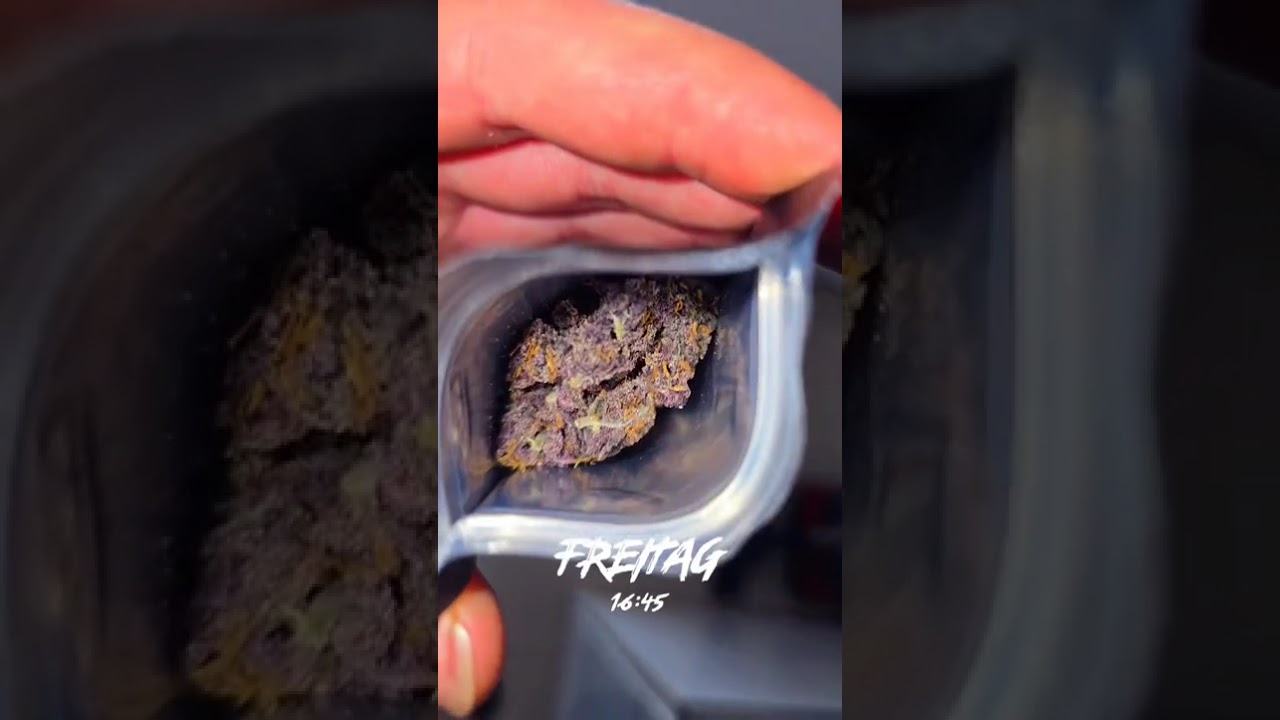 🍋🍒🍪 Lemon Cherry Cookies Auto by Fast Buds  