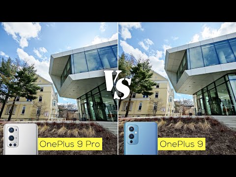 OnePlus 9 Pro versus OnePlus 9 camera comparison