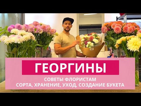 ГЕОРГИНЫ ВО ФЛОРИСТИКЕ