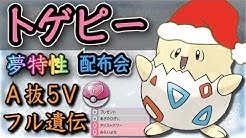 よしちゃんねる ポケモン実況 Youtube