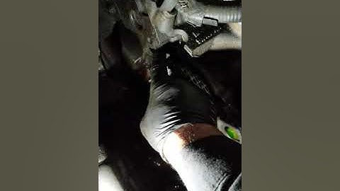 2004 Ford Taurus   se 3.0L OHV.  Replace Timing Chaine