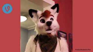 Furry Vine Compilation #3 100+ Vines 2017 Ft Majira Strawberry, Echo, Telephone And More