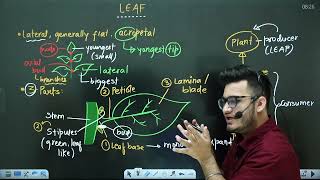 L3: Leaf &amp; its Modifications | Morphology in Flowering Plants | 11th Class Biology ft Hyperbiologist