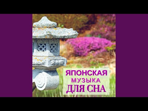 Ver Устраняет стресс no YouTube