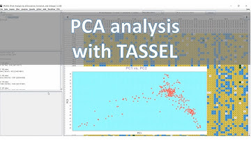PCA analysis with TASSEL