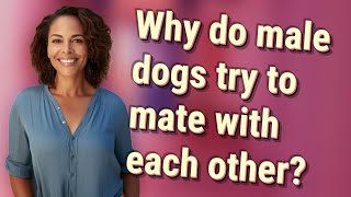 Why do male dogs try to mate with each other?