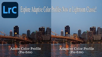 Adaptive Color Profiles Now In Lightroom Classic!