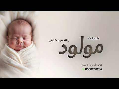 شيلة باسم محمد الكل بقدومه يزيد التراحيب شيلات مولود باسم محمد 2026