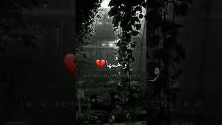 ربي إنها أمي ♥️ أعز خلقك علي ✨ حالات واتساب 😍❤️