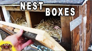 Build External Nesting Box for Chicken Coop YouTube