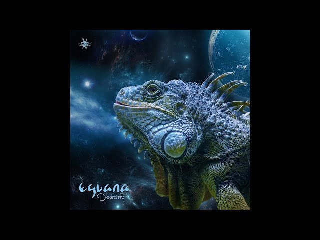 Eguana - Circling Galaxies