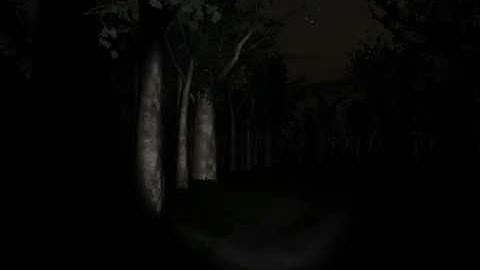 FPS test when using Fraps to record Slender w/ K9