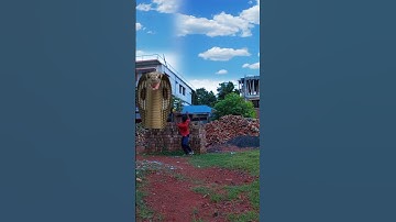 Big Anaconda Snake Attack in Real Life HD Sort  Video|| #python #animal #youtubeshorts #sorts #sort