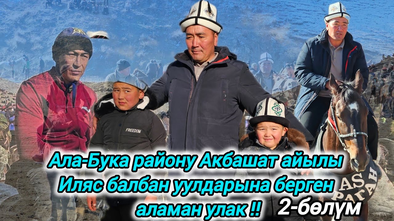 Ала-Бука району Акбашат айылы Иляс балбан уулдарына берген аламан улактын 2-бөлүмү