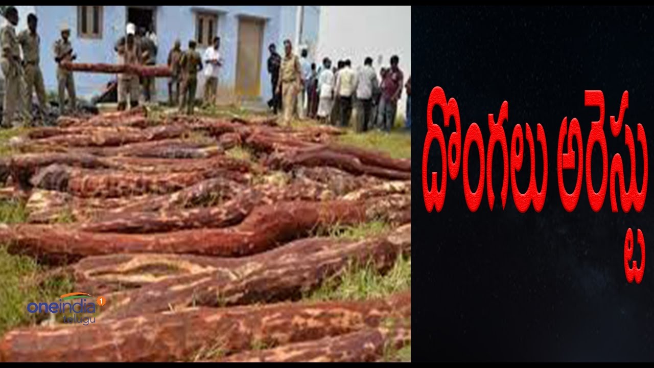 Chittoor District Police Arrested gang of Red Sandalwood Smugglers - Oneindia Telugu