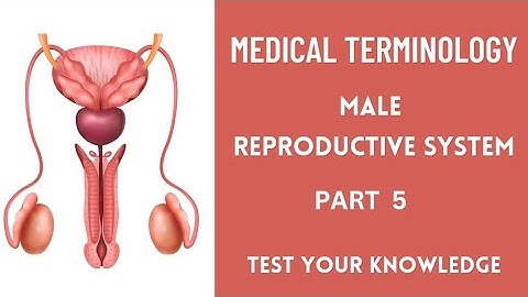 Medical coding for beginners| Male reproductive system question and answers part 5 #medicalcoding