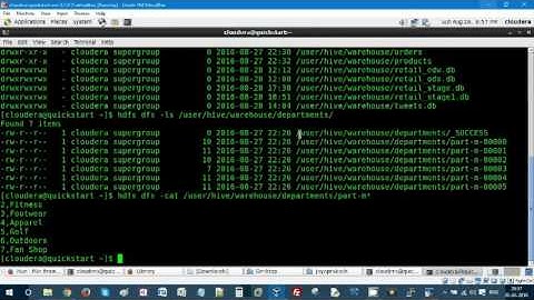 Data Analytics - Load data into PIG Relation with Schema
