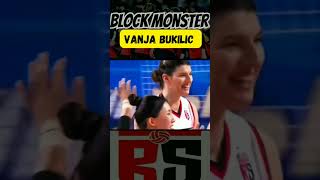 Voli  Monster Spike Dan Block  Vanja Bukilic Red Sparks  megawati redsparks volikorea voli