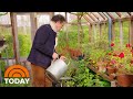 Monty Don Becomes International Star During Pandemic