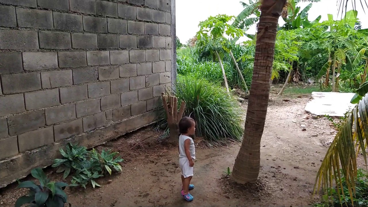 Bebe guiándome en el recorrido del patio - YouTube