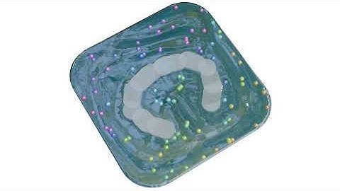 [SIGGRAPH Asia 2025] "Neural Kinematic Bases for Fluids" Demo 4