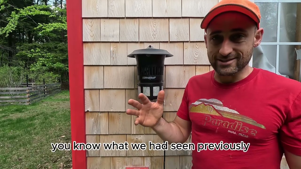 review: dynatrap misquito trap and how they actually work
