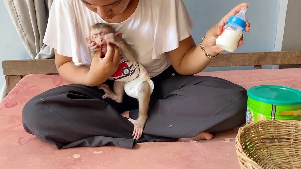 DAM Keep Very Mess Not Stop While Mom Mixing Milk For Him