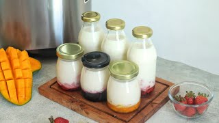 YOGURT BOTOLAN MODAL BAHAN MULAI 6RBAN AJA