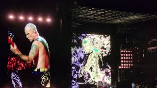 Red Hot Chili Peppers - The Heavy Wing - Live In Curitiba Brazil - 13/11/2023