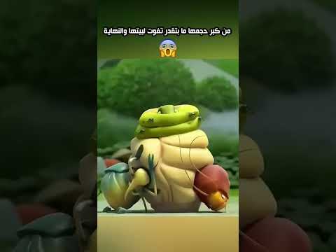 من حجمها الكبير لا تستطيع هذه الدودة ان تدخا لبيتها لكن النهاية