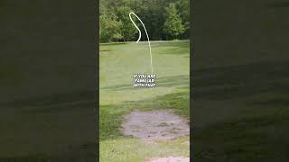 Perfect Hyzer Flip Disc Discmania S-Line Dd