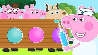Geogre Will Be Choose??? - Peppa Pig Funny Animation