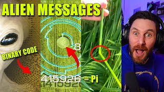 OMG Alien Crop Circles And What I Learnt Is Amazing