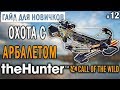 theHunter Call of the Wild #12 🔫 - Охота с Арбалетом + БРИЛЛИАНТ - ГАЙД для Начинающих