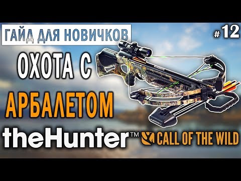 Видео: theHunter Call of the Wild #12 🔫 - Охота с Арбалетом + БРИЛЛИАНТ - ГАЙД для Начинающих