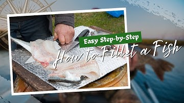 How to Fillet a Fish 🐟 Easy Step-by-Step Instructions