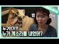 동물도 속이는 미친 클라스! 동물 성대모사의 달인┃The Best Animal Vocal Mimicry