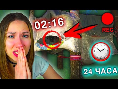 НОЧЬ В доме из Пленки СКРЫТАЯ КАМЕРА НА ДЕРЕВЕ ПАРАНОРМАЛЬНОЕ ЯВЛЕНИЕ | Elli Di