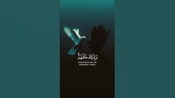 تلاوة خاشعة تريح القلوب للقارئ اسلام صبحي #قرآن #quran #تلاوة_خاشعة #راحة_نفسية #islamic #ايات #fyp